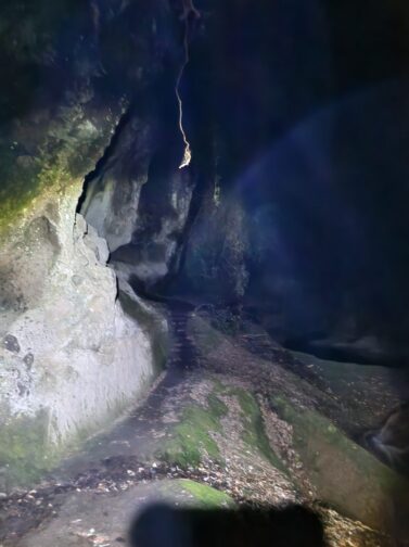 東椎屋の滝途中の道