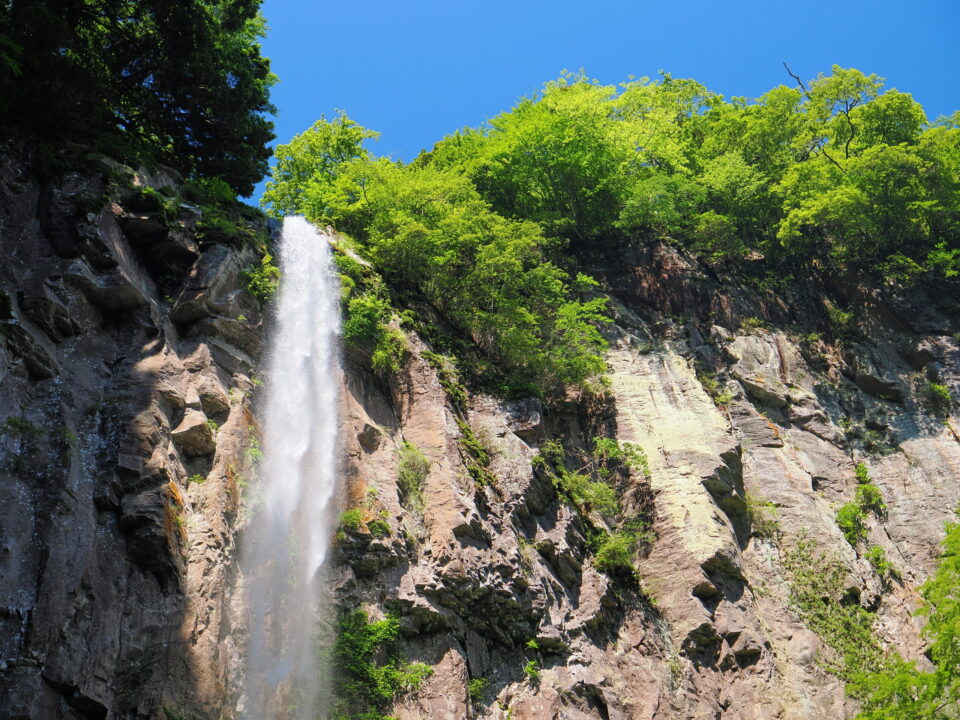 朝の東椎屋の滝2
