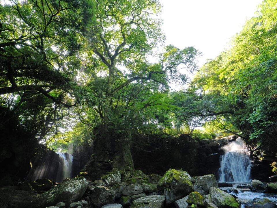 夫婦滝(男滝と女滝)