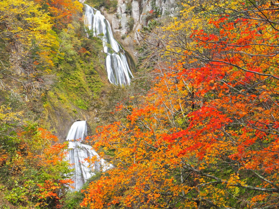 羽衣の滝と紅葉