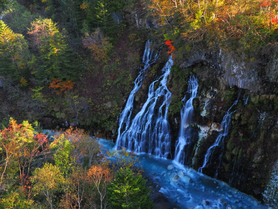 白髭の滝と紅葉