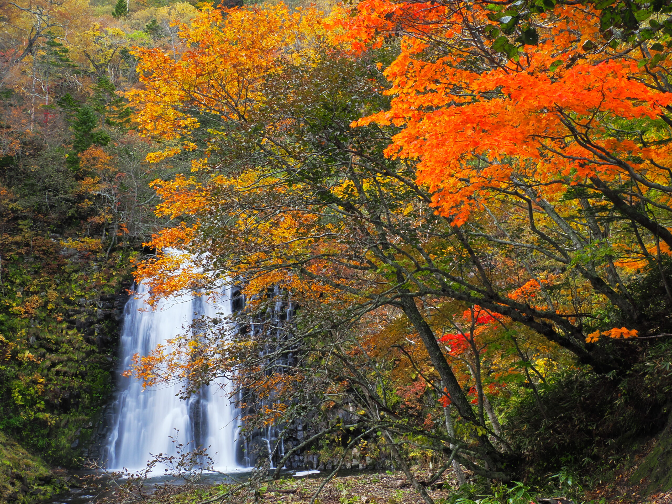 熊越の滝と紅葉