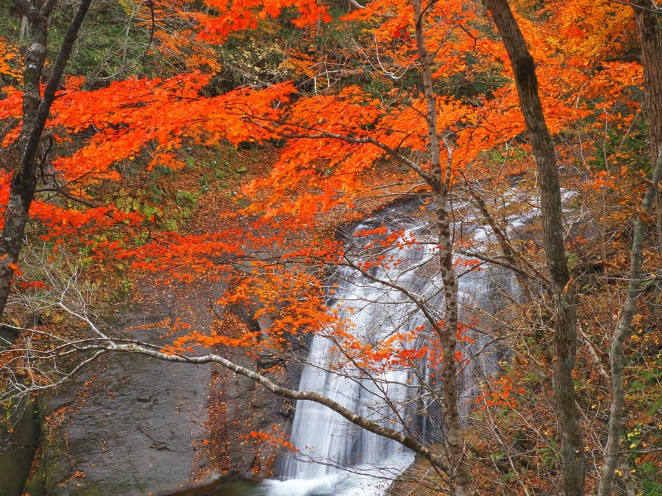白扇の滝と紅葉