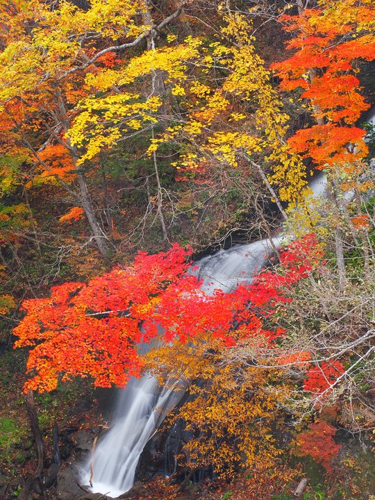 三段の滝と紅葉1