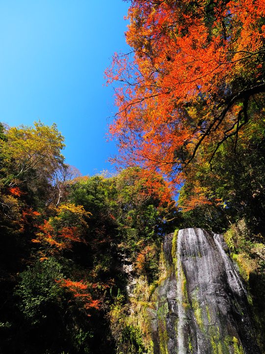 カッパ滝と紅葉2
